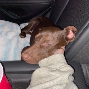 Meet your Posher, Michelle